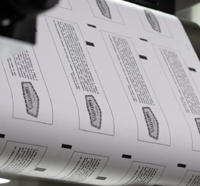 RUASUN BUSINESS | Insumos de Alta Tecnología para Transacciones Eficientes